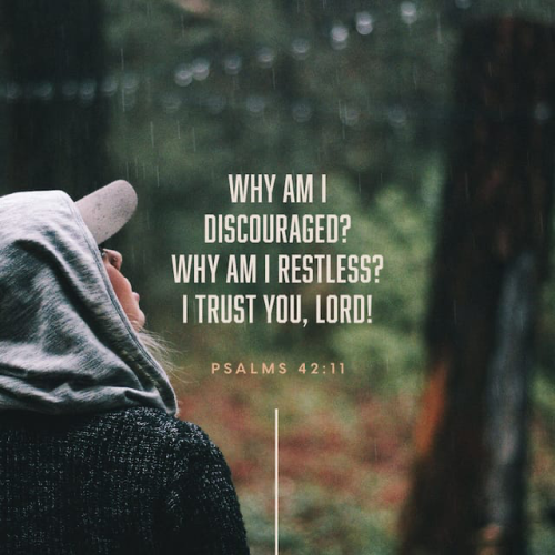 14:49:43 GMT-0400 (EDT).image