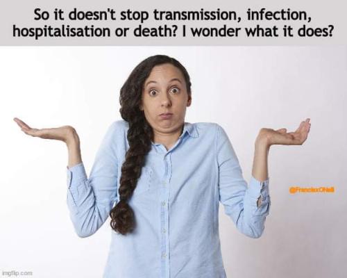 FB_IMG_1636213393123