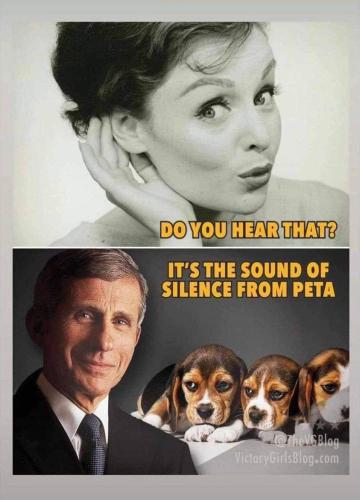 252302173_10215295227933169_1816910766797526906_n