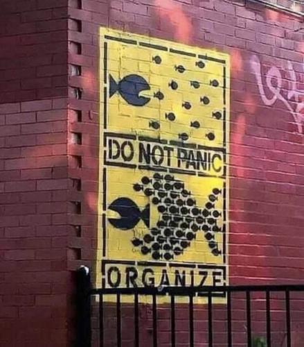 257756018_4533486673395904_8718376840162271198_n