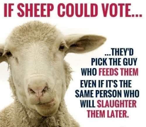 09:18:28 GMT-0700 (MST)