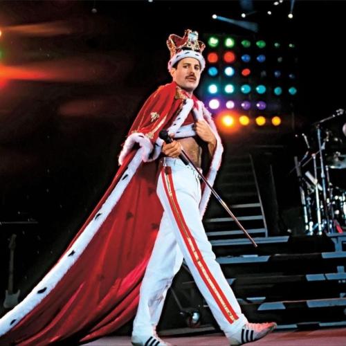 259450634_436691231158761_6603728386755076019_n