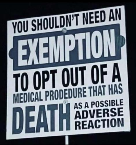 Screenshot_20211110-140432_Wimkin Uncensored