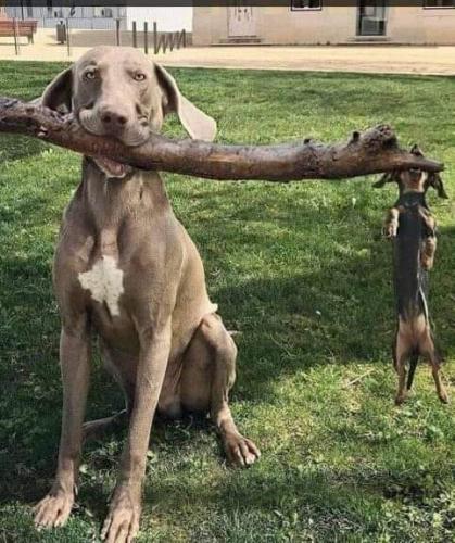 254434901_597302548371209_1233307979143949052_n