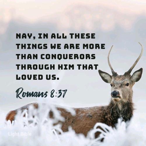 09:40:16 GMT-0500 (EST).*