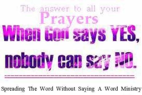 542744_385936151488522_382490826_n