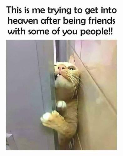 15:30:47 GMT-0600 (CST)