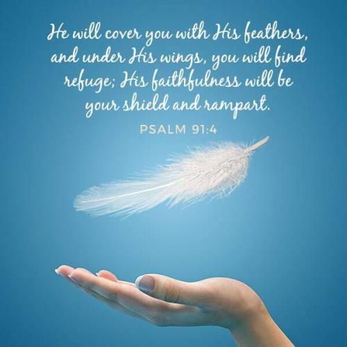 08:14:25 GMT-0500 (EST)