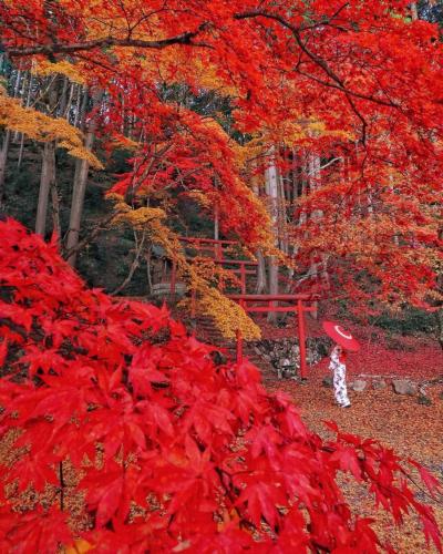 257281994_441625953971319_2415275648821869324_n