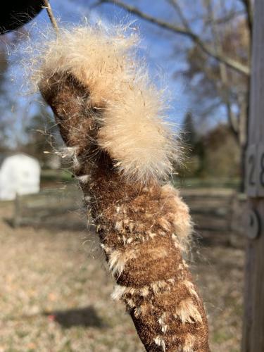 6C5D13B1-65A9-4159-AB48-FFB95AC87424