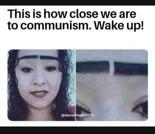 Screenshot_20211118-204222_Signal