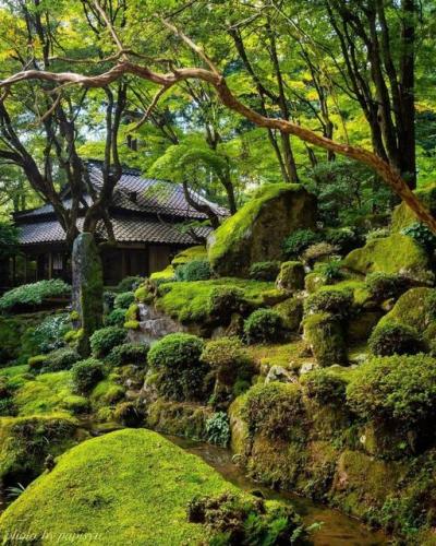 253659363_416465043529041_2055285245548749642_n