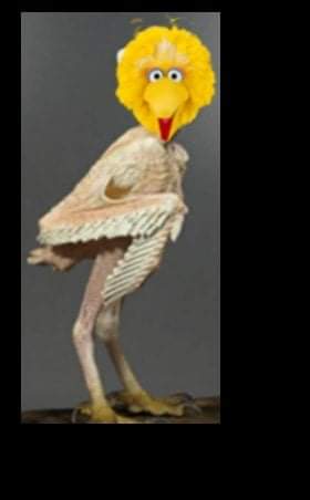 18:09:35 GMT-0600 (CST)