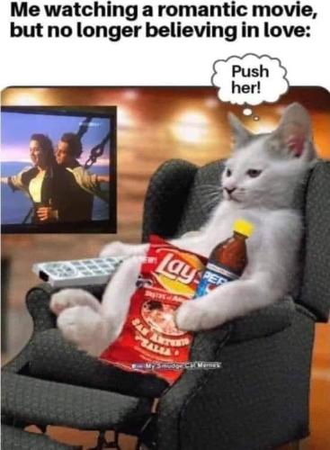 251496822_4429433823819123_8137174415430766194_n