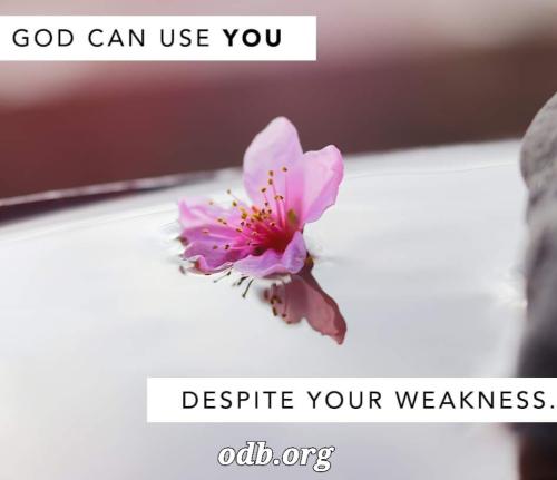 04:37:41 GMT-0800 (PST)