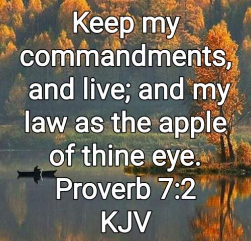 05:09:55 GMT-0800 (PST)