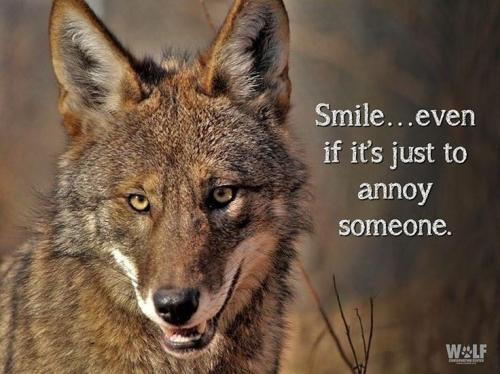 19:03:24 GMT-0600 (CST)