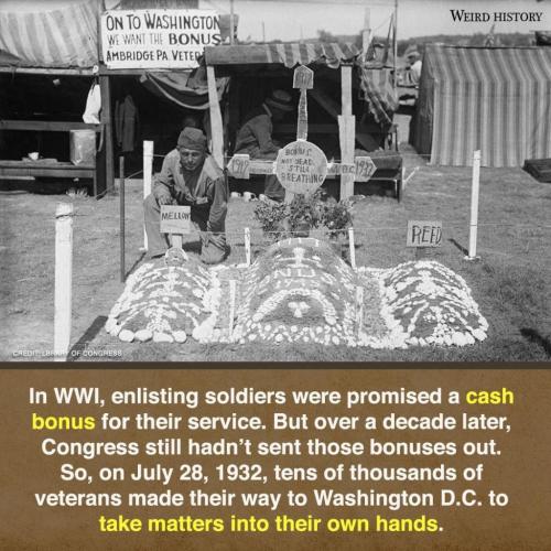 250143354_2359221894234172_7438595434045536593_n