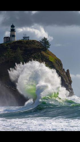 Screenshot_20211114-194315_Wimkin Uncensored