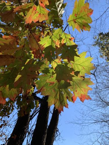 D3D698A7-1DA2-4DCD-A8A2-695F230058E5