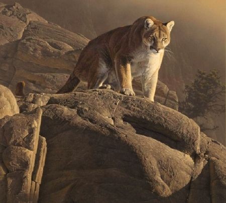 19:07:12 GMT-0500 (CDT)