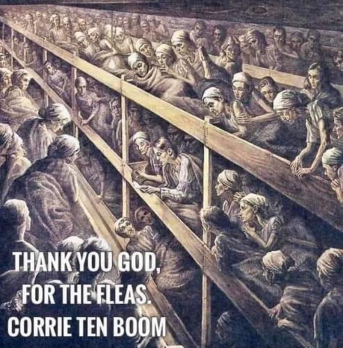 08:35:29 GMT-0500 (EST).image