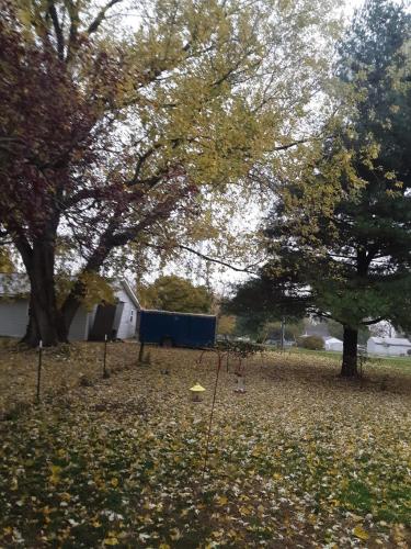 10:47:39 GMT-0600 (CST)