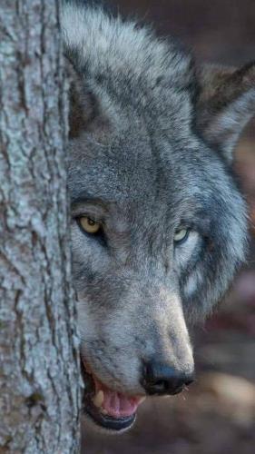 a9addc3ecf59bc409cbca4bdaa5dbb40