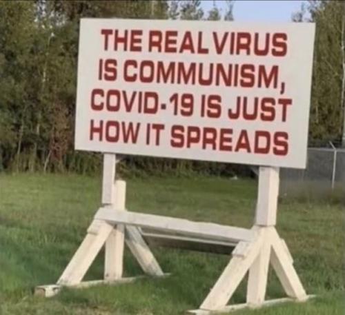 RealVirus19