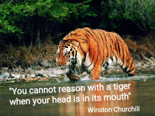 Screenshot_20211102-040325_DuckDuckGo