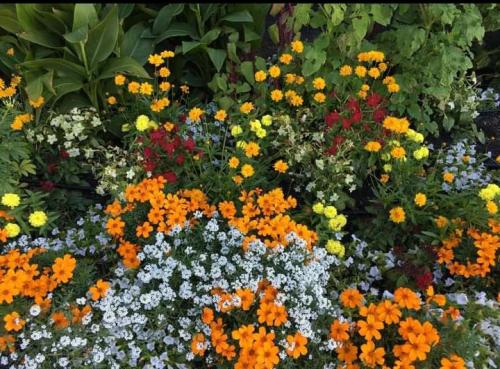 03:36:05 GMT+0100 (WAT)