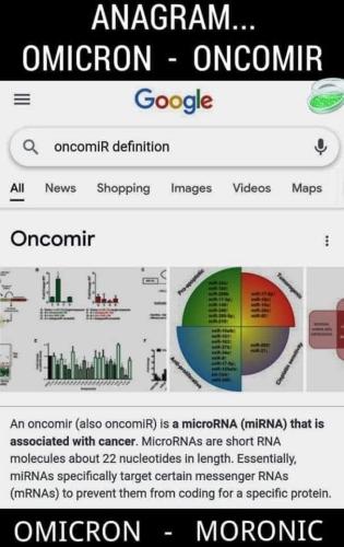 FB_IMG_1638130415535