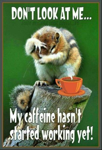 08:16:59 GMT-0600 (CST)