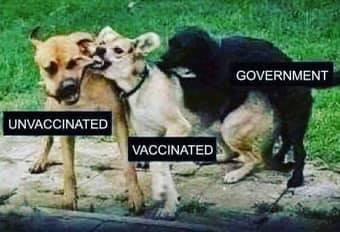 vaccination_roles