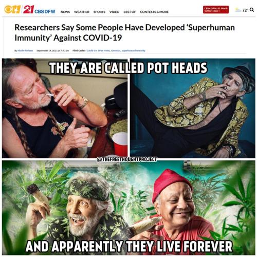 3434343434343434343434343453555353213131