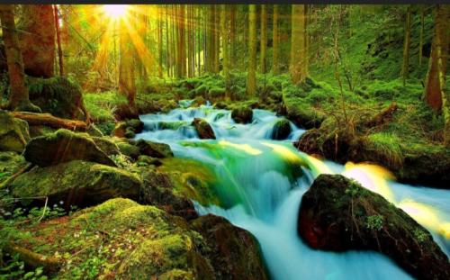 Screenshot_20211101-061733_DuckDuckGo