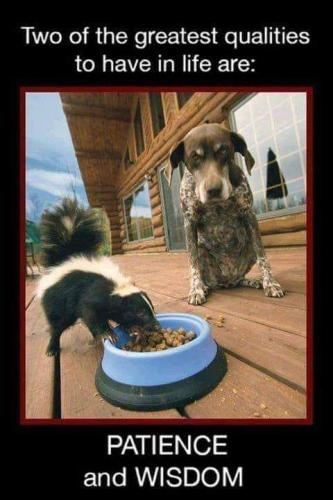 FB_IMG_1636988741006