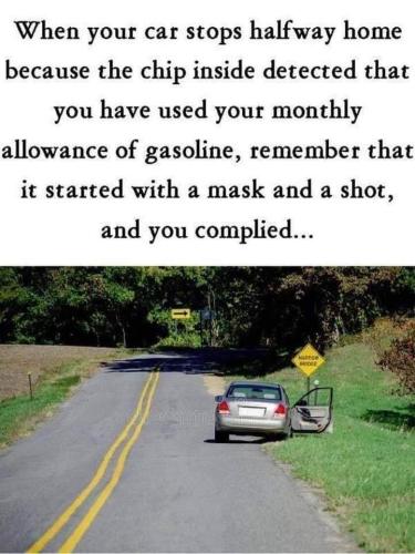 FB_IMG_1636850344510