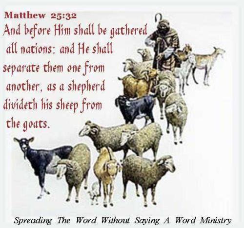 31597_396914687057335_1060473511_n