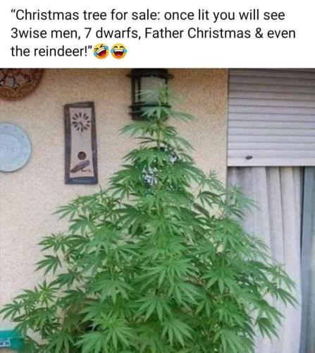 257722809_4763234590364975_3657124462790671654_n