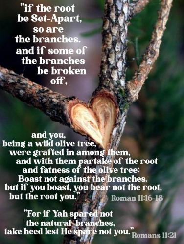 13:42:02 GMT-0800 (AKDT)