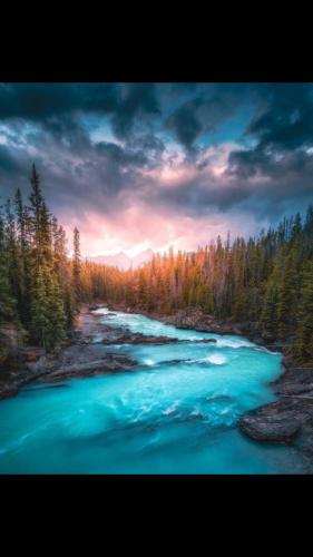 Screenshot_20210929-205439_Wimkin Uncensored