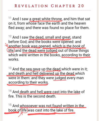 Screenshot_20211115-213349~22