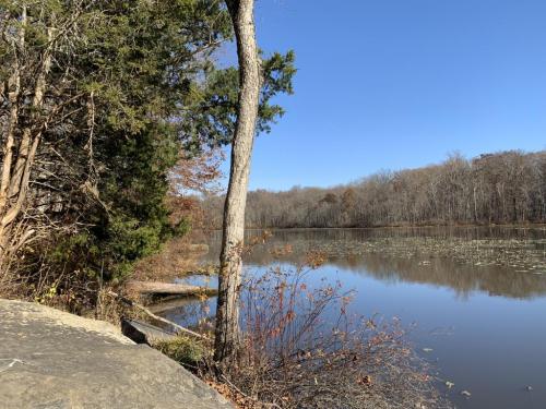 DE412CCD-B432-4D2C-AFC2-E13B83D08899