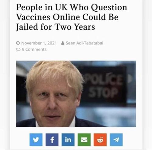 photo_2021-11-02_17-39-32