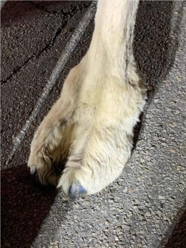 Screenshot_20211122-000834_DuckDuckGo