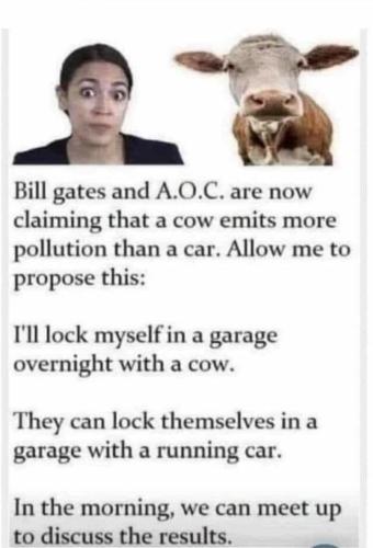 cow farts