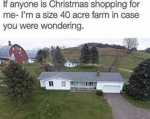 photo_2021-11-03_09-48-49