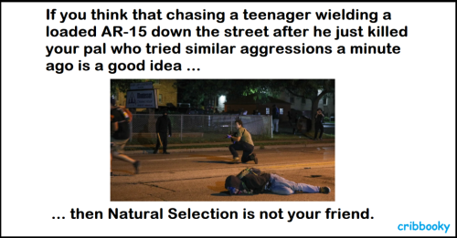 kyles_natural_selection_process
