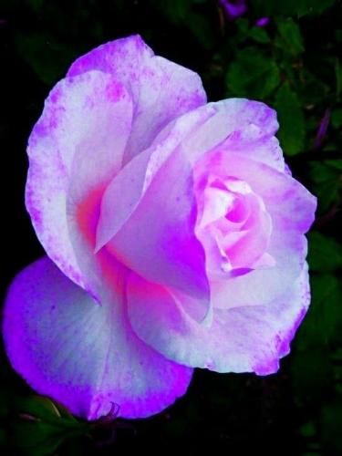 07:56:50 GMT-0600 (CST)